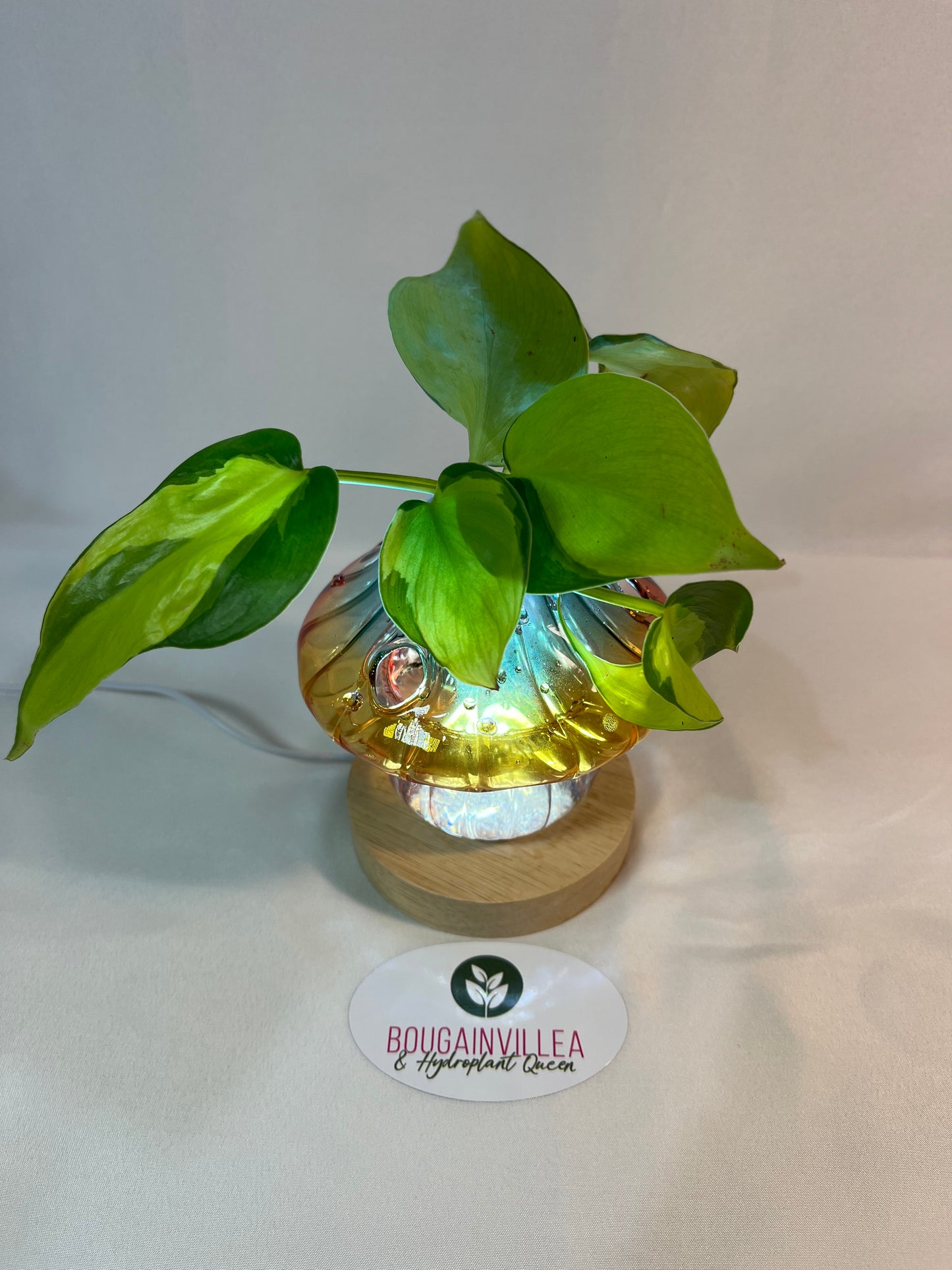 Red Glow Mushroom Vase