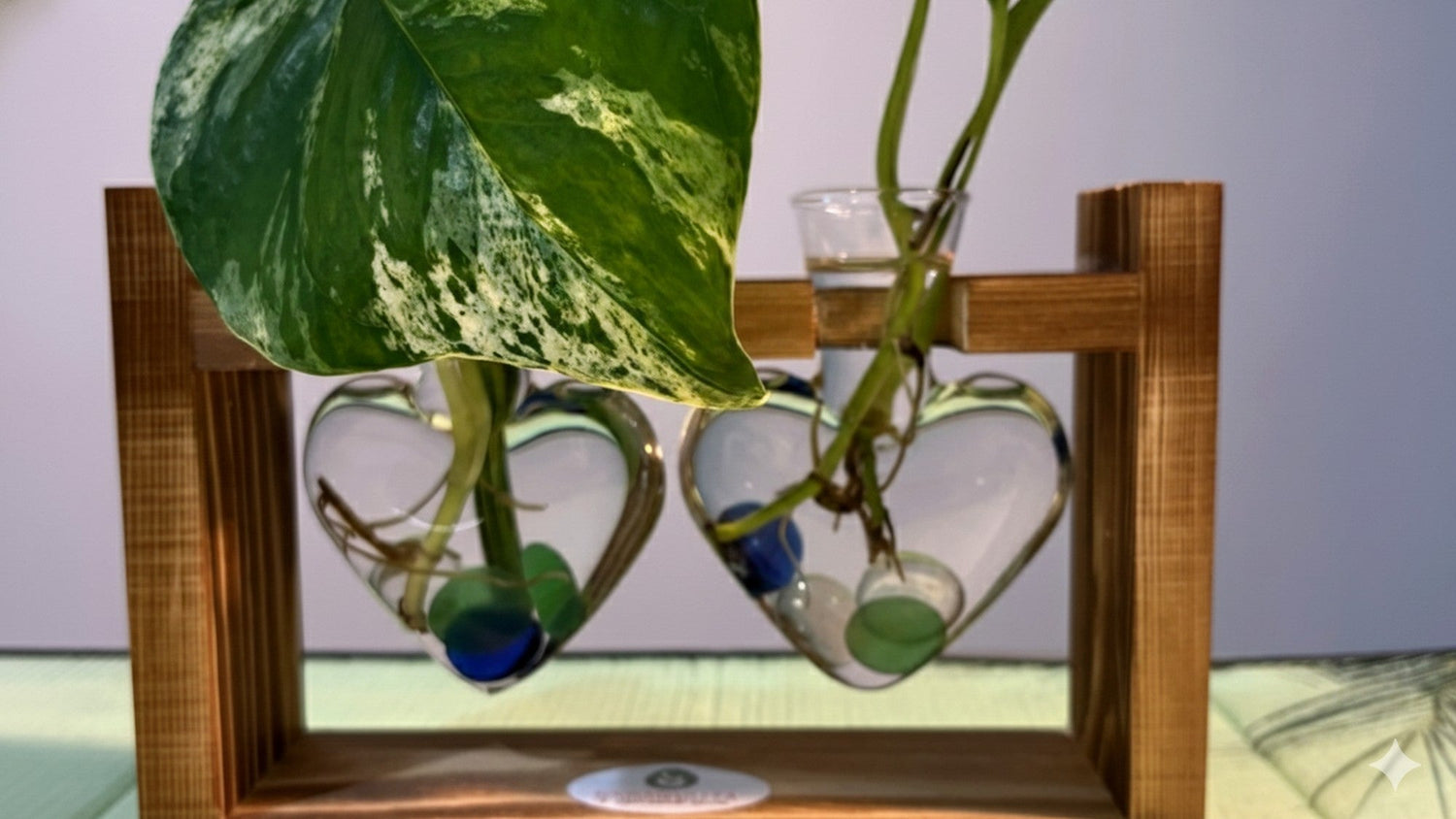mindful décor, eco-gift ideas, and indoor plant lovers.