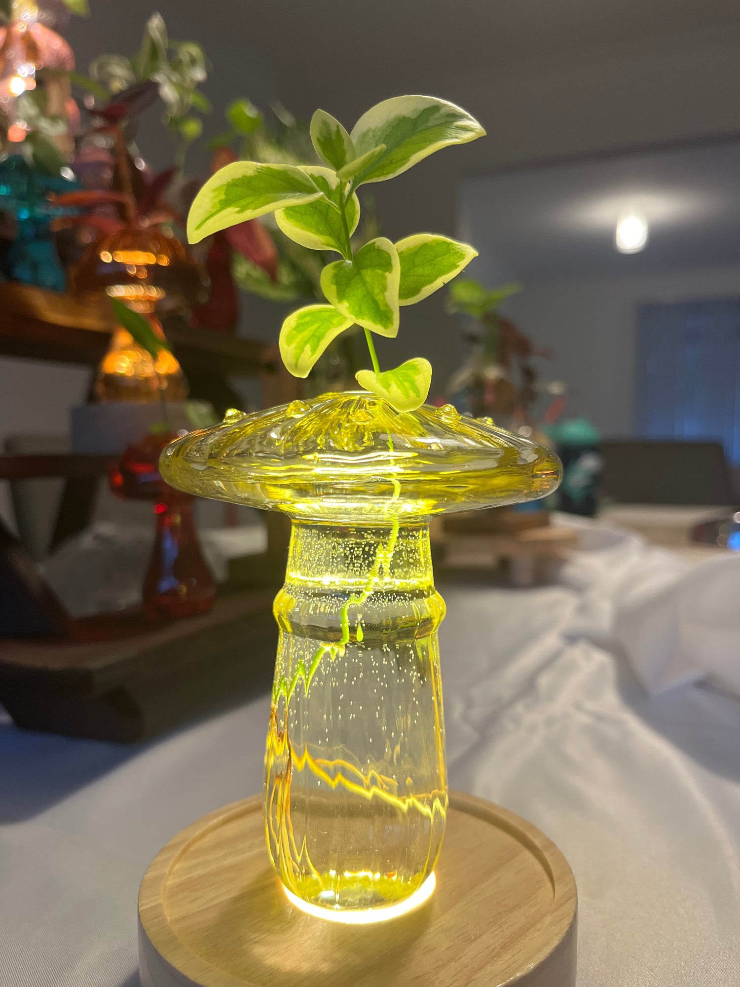 Most Loved Hydro Setups