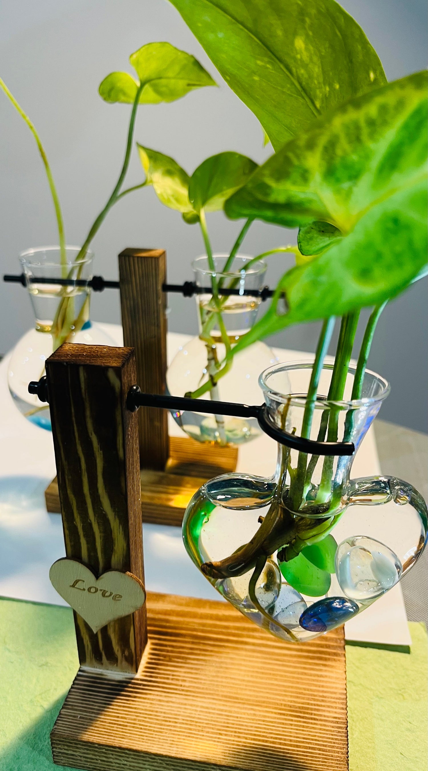 Propagation Vases