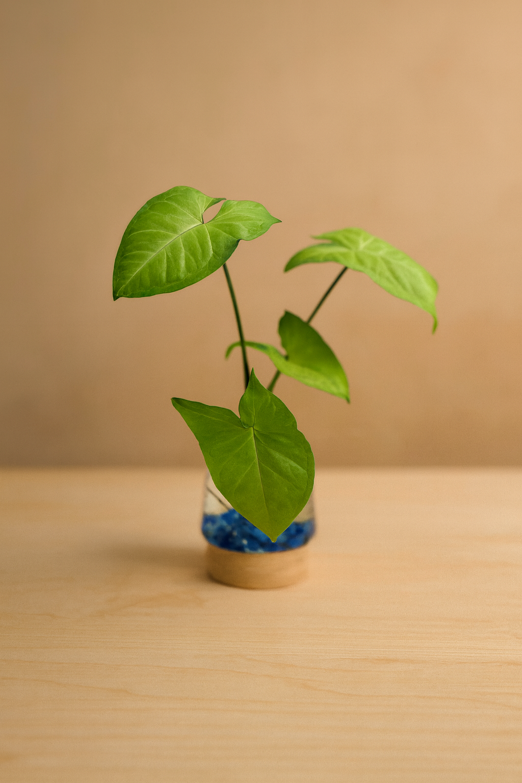 Vintage Cork Hydro Vase