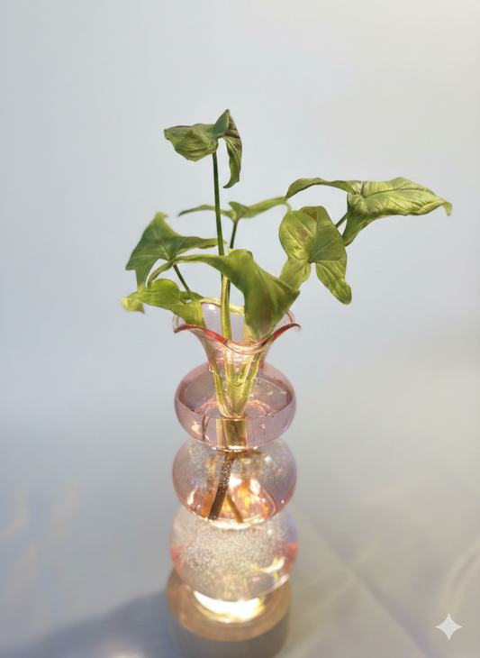 Premium Propagation Vase Pink Bubble Glass