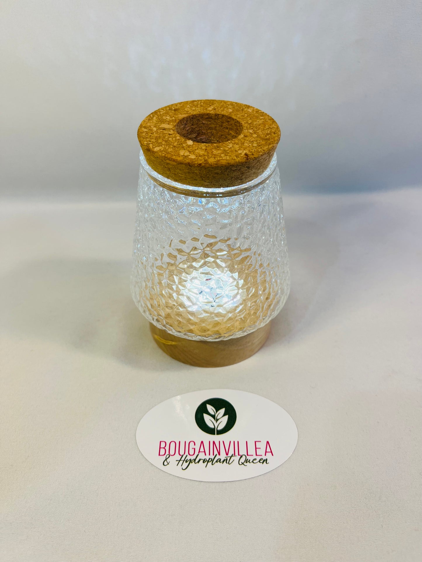Vintage Cork Hydro Vase