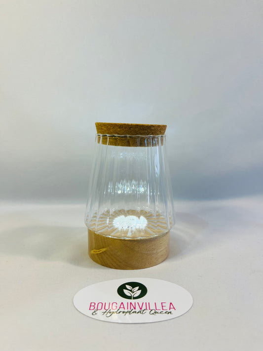 Premium Hydroponic Glass Vase Vertical Grain