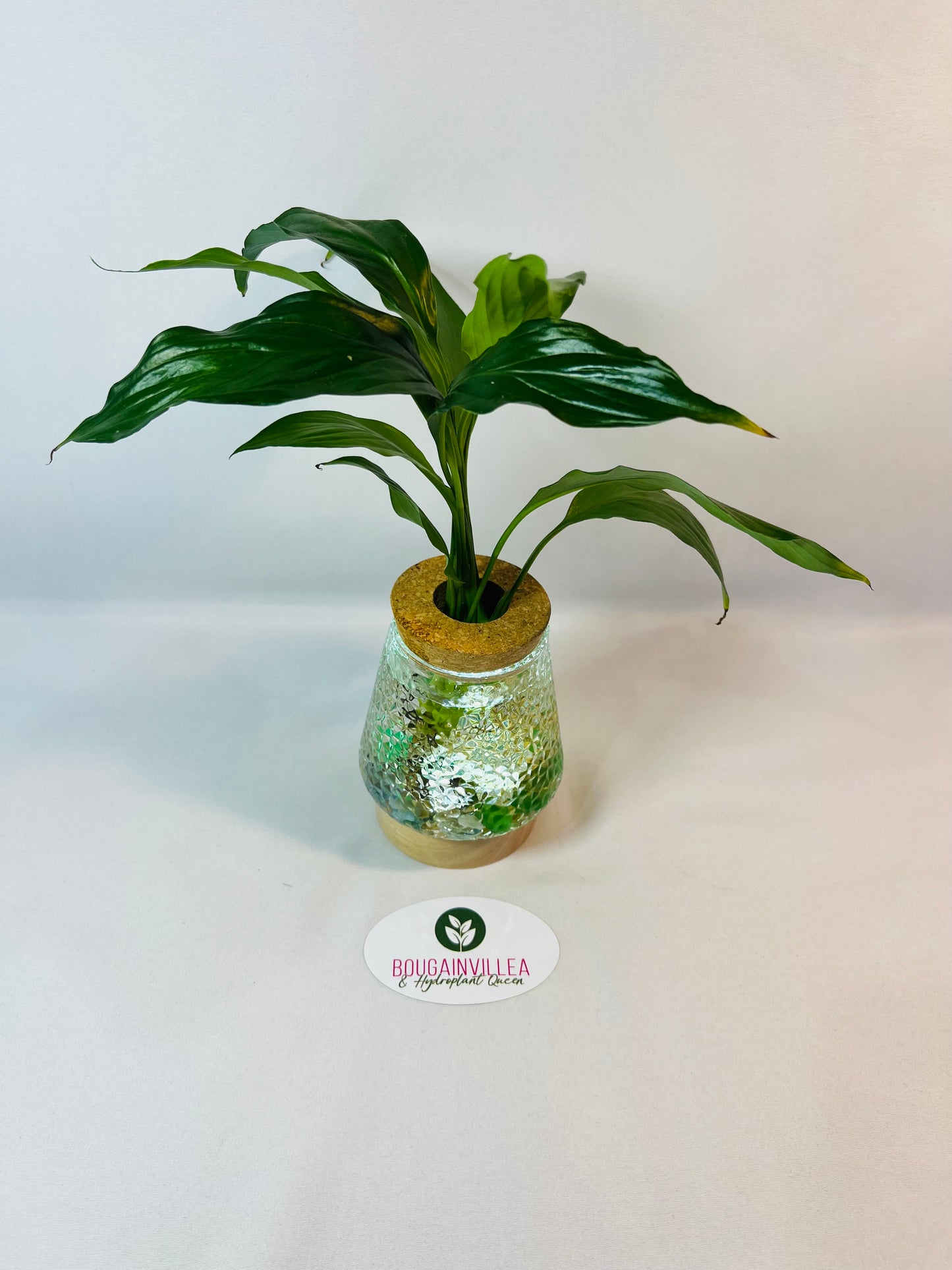 Vintage Cork Hydro Vase