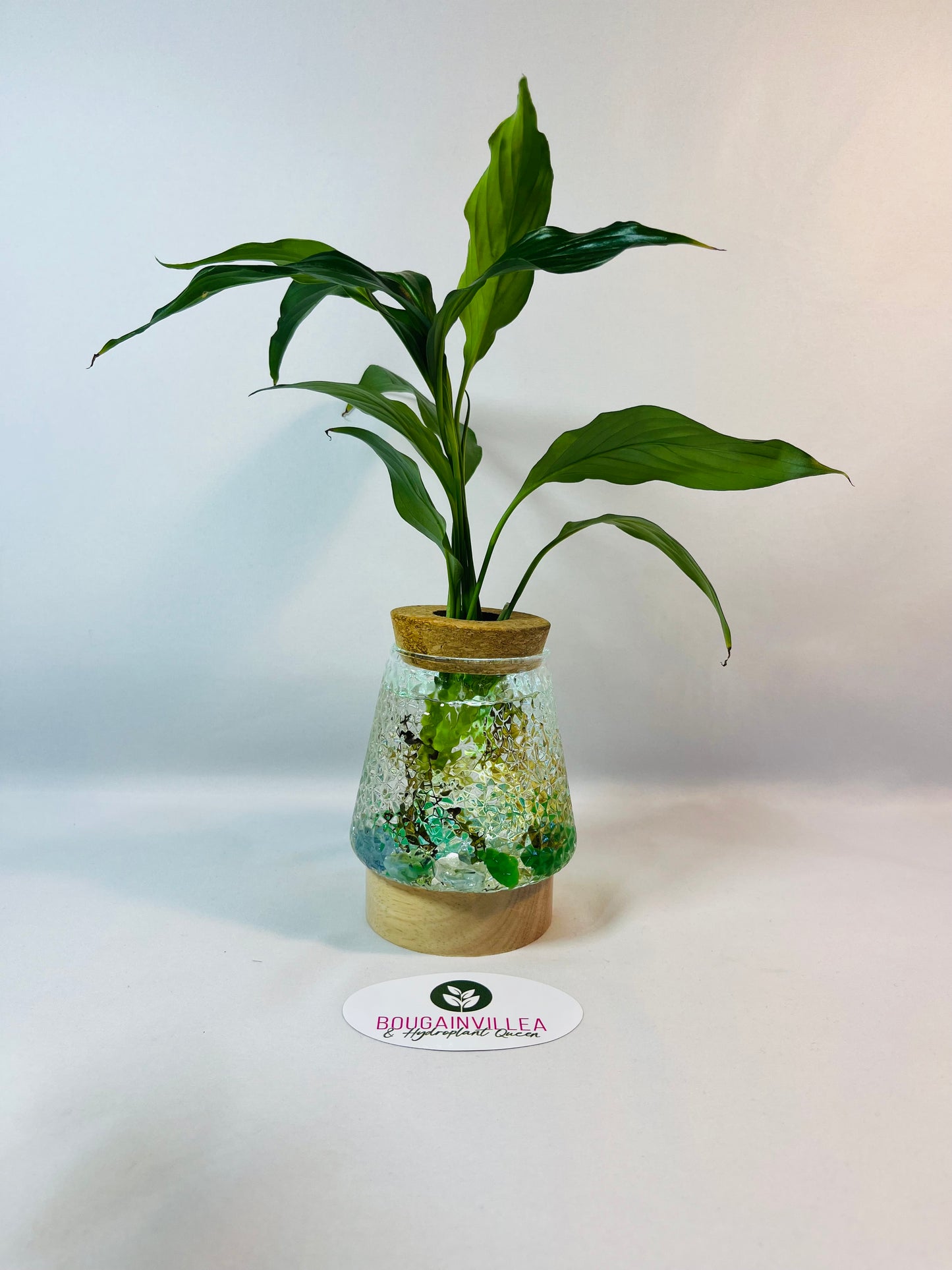 Vintage Cork Hydro Vase