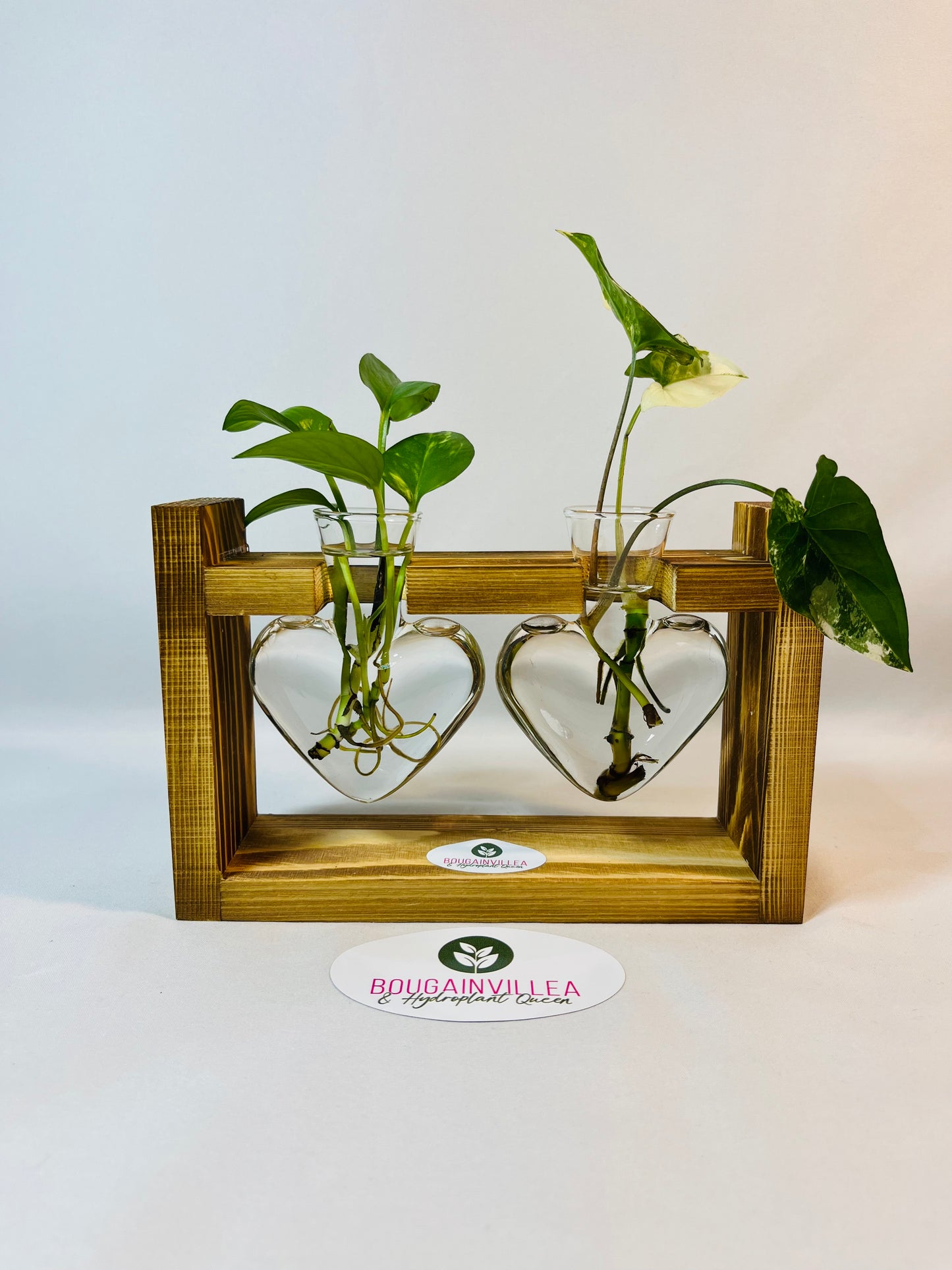 Premium Hydroponic Heart-Shaped Vases, Clear Glass with Creative Wooden Frame