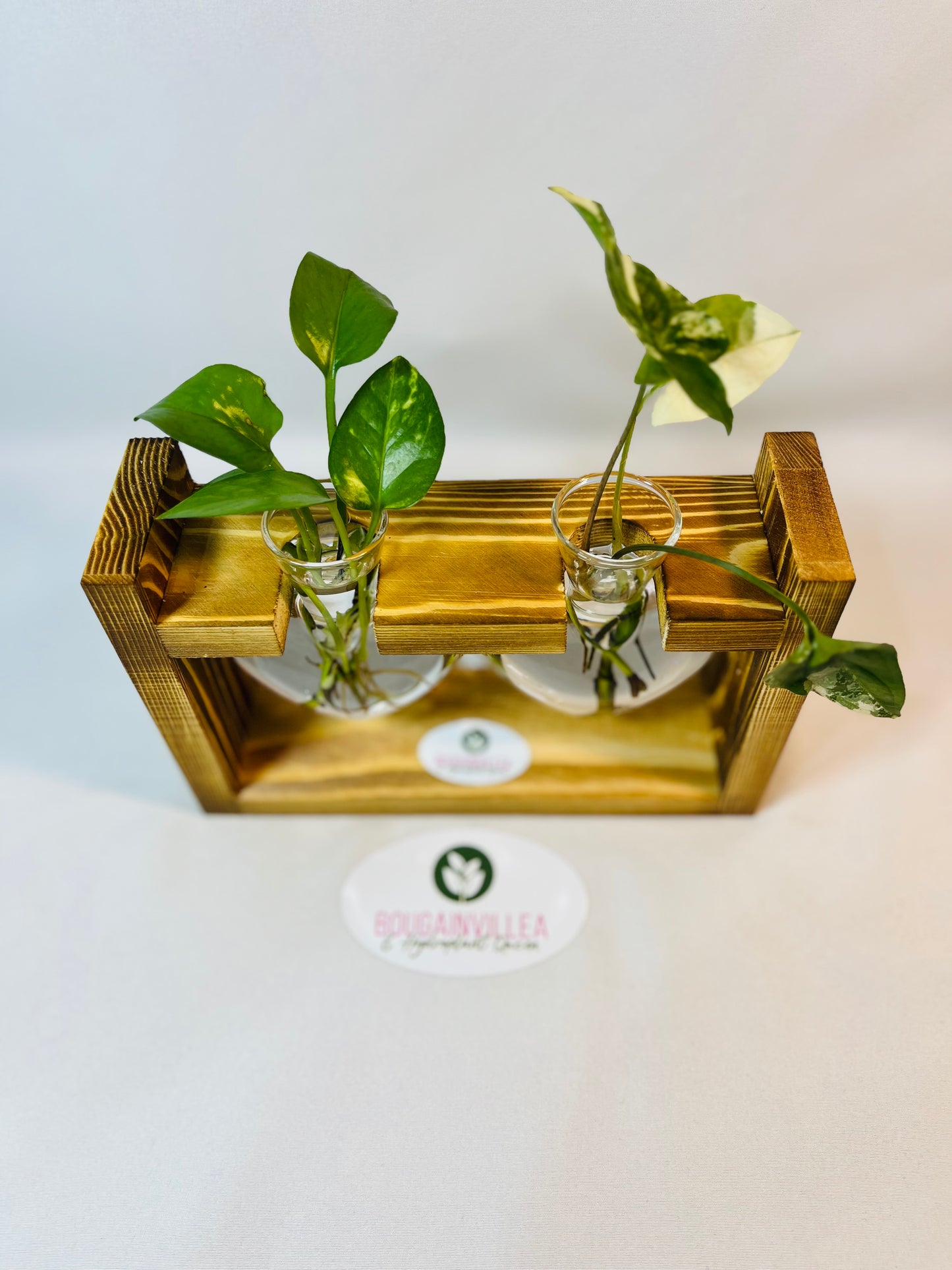 Premium Hydroponic Heart-Shaped Vases, Clear Glass with Creative Wooden Frame