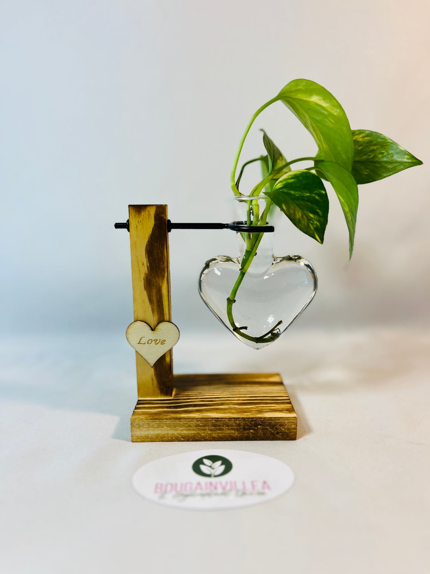 Premium Hydroponic Glass Vase Love Shaped