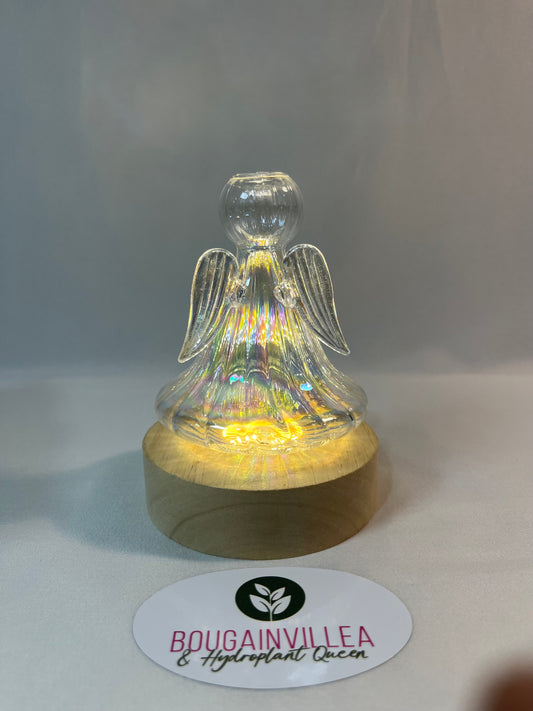 Clear Glass Propagation Vase Bell Shaped with Lamp