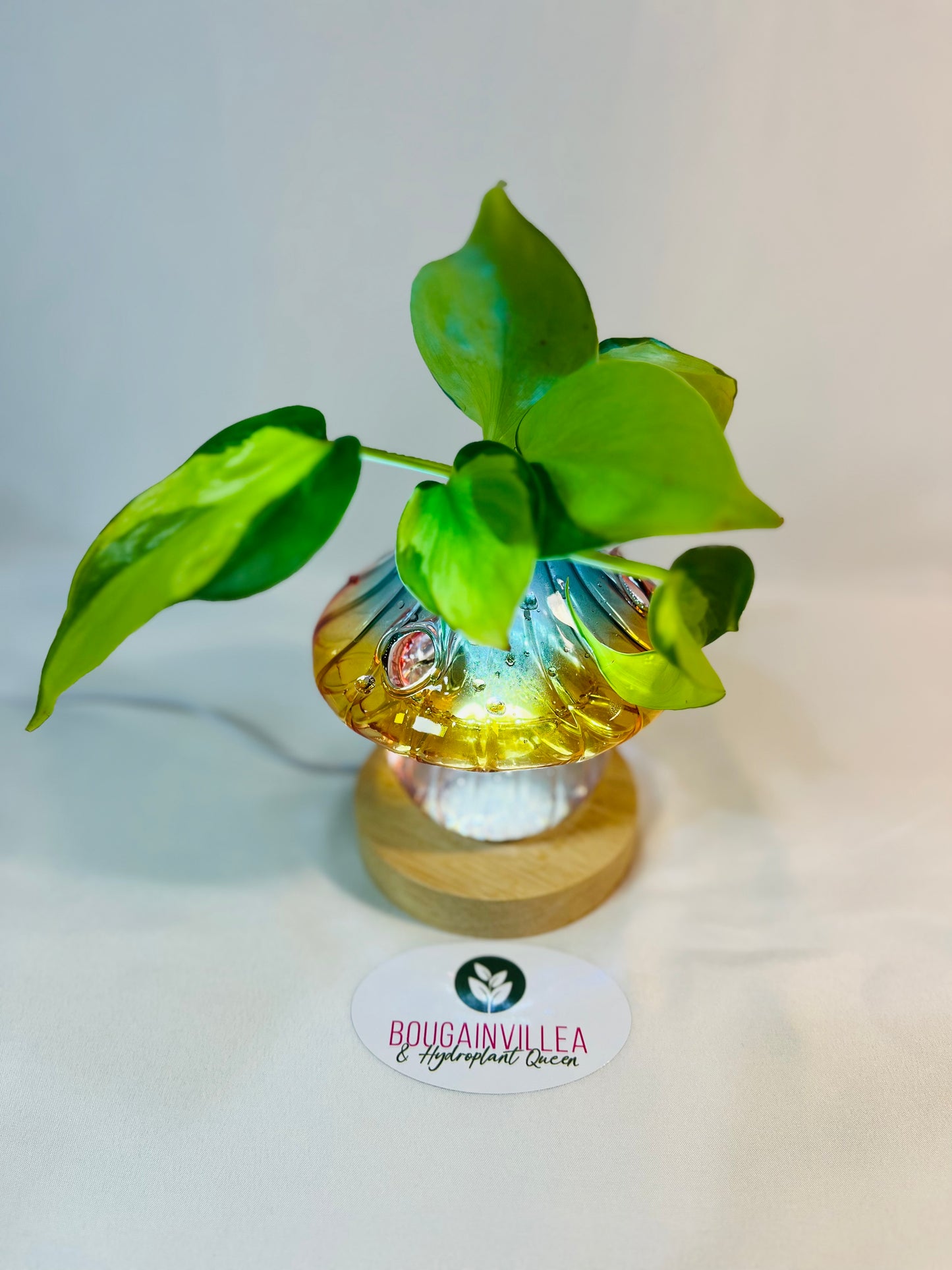 Luminous Glass Mushroom Vase