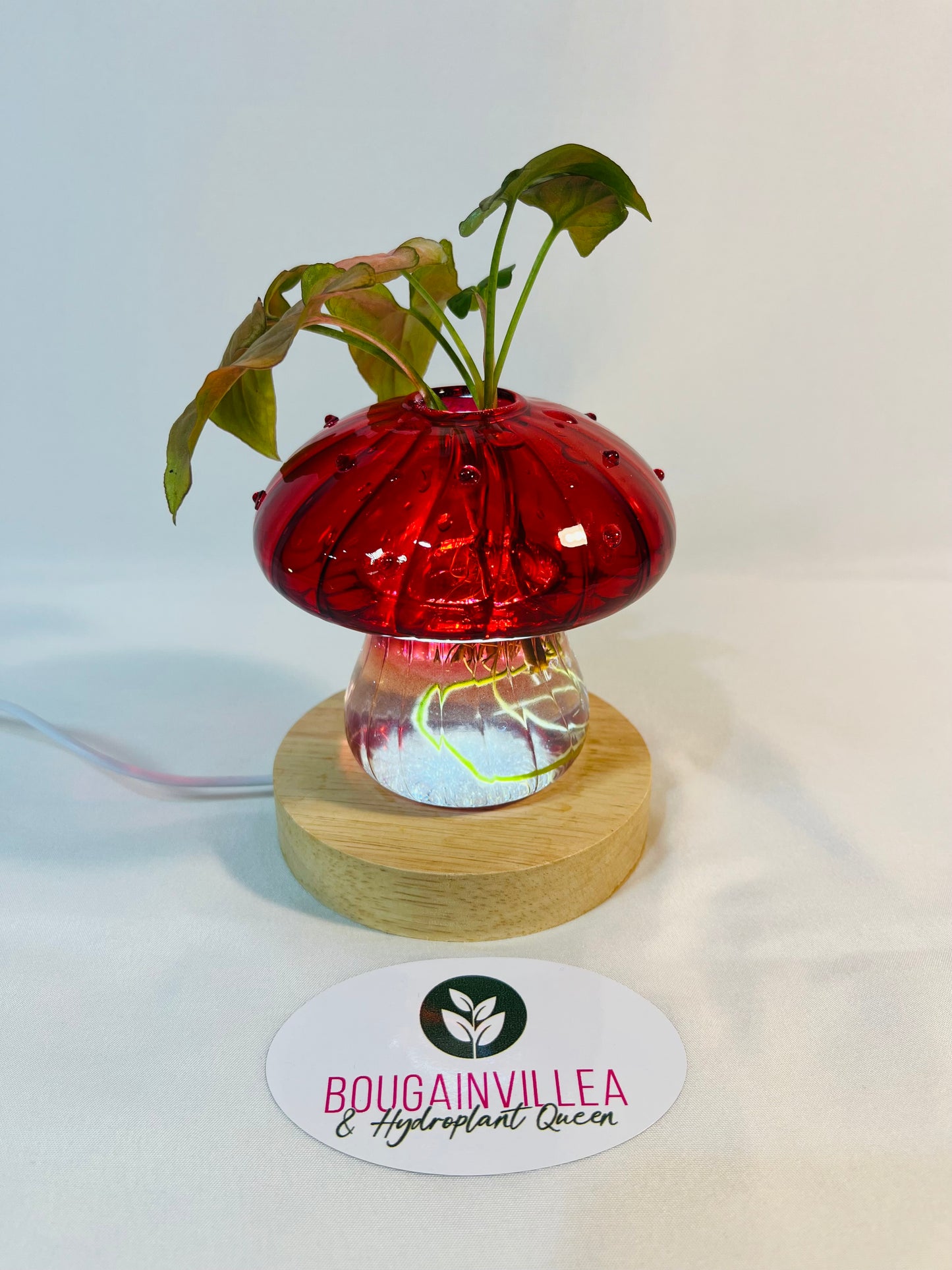 Red Glow Mushroom Vase