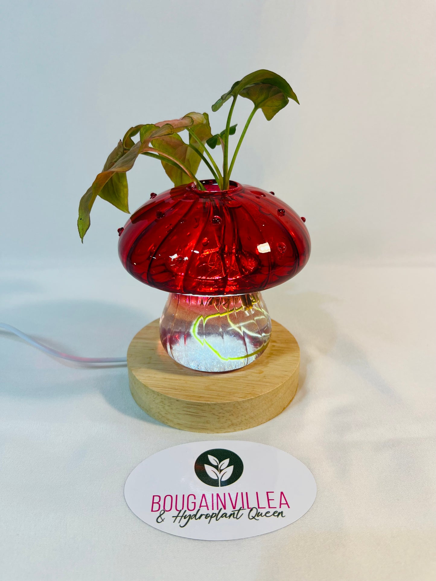 Red Glow Mushroom Vase