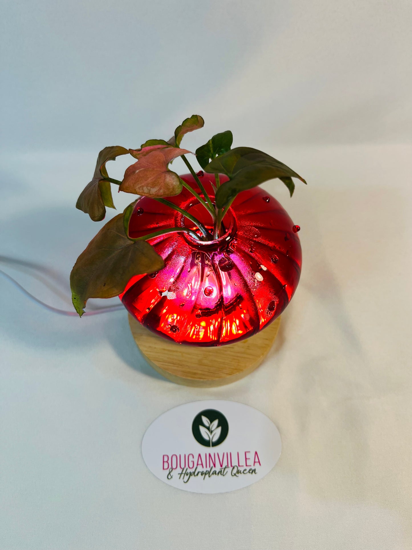 Red Glow Mushroom Vase