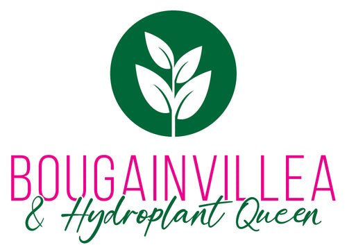 Bougainvillea & Hydroplants